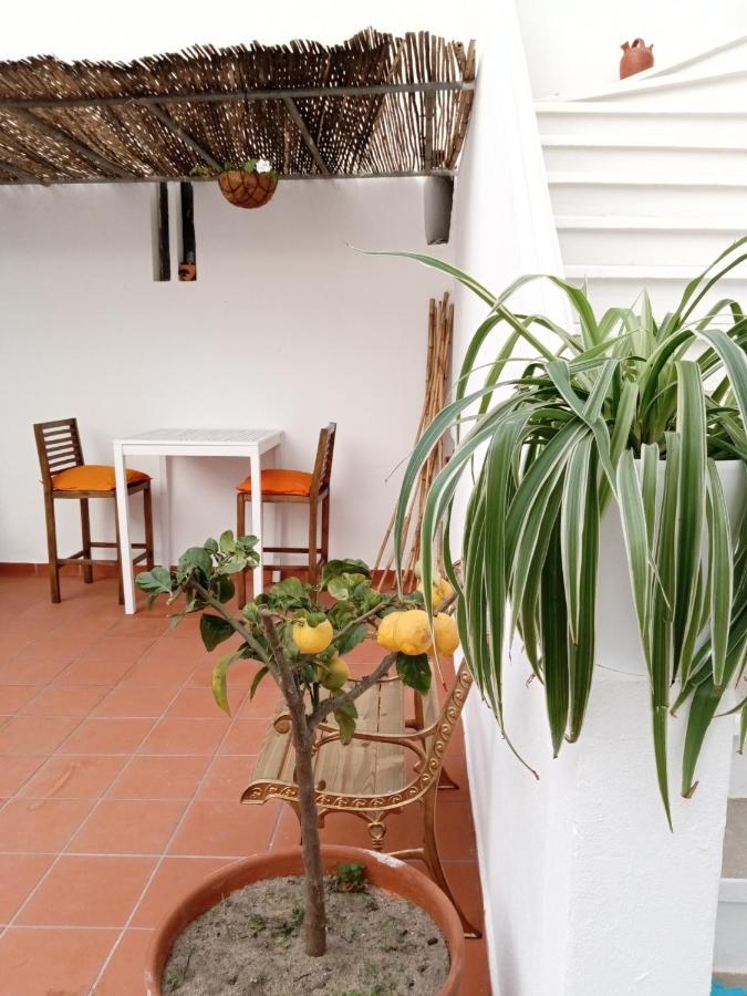Casa Da Umbria Bed and Breakfast Οντεμίρα Εξωτερικό φωτογραφία
